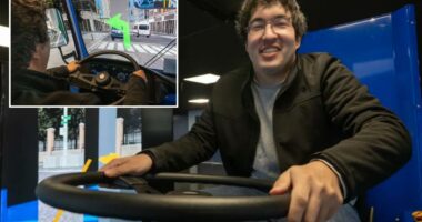 The Post tries the MTA's bus simulator â it goes off the rails
